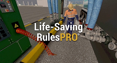Virsat Life Saving Rules Pro